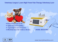 Χειρουργική 980nm πόνου κατοικίδιων ζώων αποκατάστασης διόδων συσκευή λέιζερ θεραπείας λέιζερ κτηνιατρική