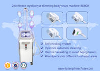 Μηχανή αδυνατίσματος Cryolipolysis σώματος μορφής, εξοπλισμός ομορφιάς Lipo Cryo Cryolipolysis