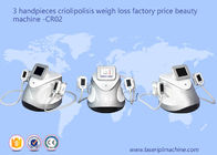 3 εξοπλισμός CR02 ομορφιάς απώλειας βάρους μηχανών αδυνατίσματος Handpieces Cryolipolysis