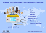 980nm κτηνιατρική θεραπεία λέιζερ διόδων για άνεμος την κατοικίδια ζώα θεραπεία