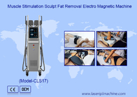 Ελλείψη βάρους Εμς RF Ηλεκτρομαγνητική μηχανή γλυπτικής σώματος