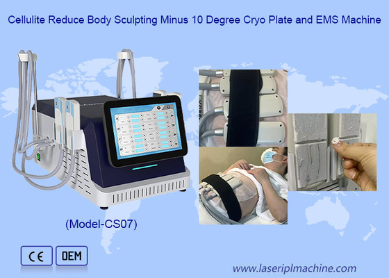 2 σε 1 Cryo Plate και EMS Slimming Machine για κατάψυξη λίπους