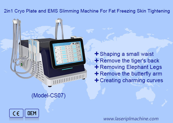 2 σε 1 Cryo Plate και EMS Slimming Machine για κατάψυξη λίπους