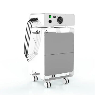 Καλή τιμή Υγειονομική περίθαλψη ανακούφισης πόνου στην πλάτη εξοπλισμού Eswt ραδιοσυχνότητας EMS σε απευθείας σύνδεση