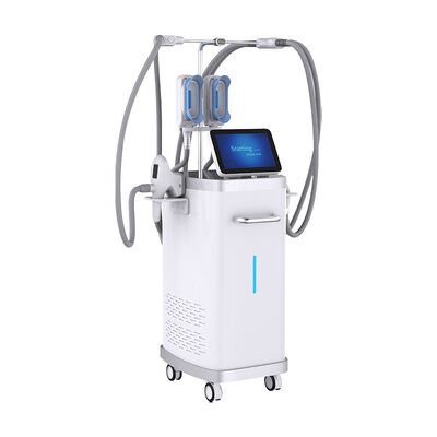 Καλή τιμή Μηχάνημα αδυνατίσματος 5 σε 1 Vacuum RF Κρυολιπόλυσης Μείωσης Κυτταρίτιδας Απώλειας Λίπους Velashaping σε απευθείας σύνδεση