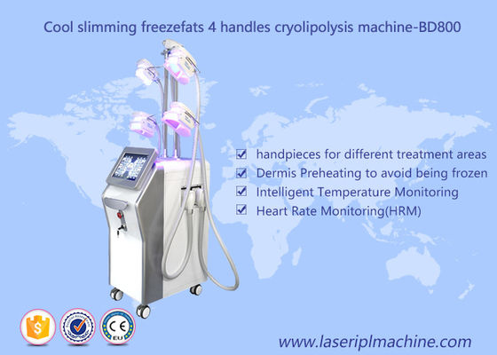 Καλή τιμή 4 μηχανή Cryolipolysis απώλειας βάρους λαβών/παχιά μηχανή αδυνατίσματος δημιουργίας κοιλότητας παγώματος κενή σε απευθείας σύνδεση