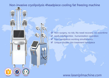 Cryolipolysis παχιά παγώματος απώλειας αδυνατίσματος μηχανή δημιουργίας κοιλότητας RF μηχανών κενή