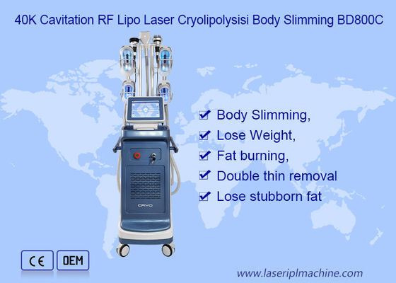 9 σε 1 κενή μηχανή αδυνατίσματος 800VA Cryolipolysis