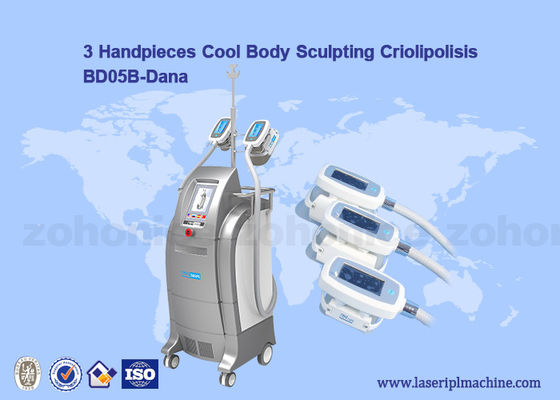 Καλή τιμή Κενό Cryolipolysis/δροσερές μεμβράνη Sculpting σώματος/μηχανή μείωσης Criolipolisis Cellulite σε απευθείας σύνδεση