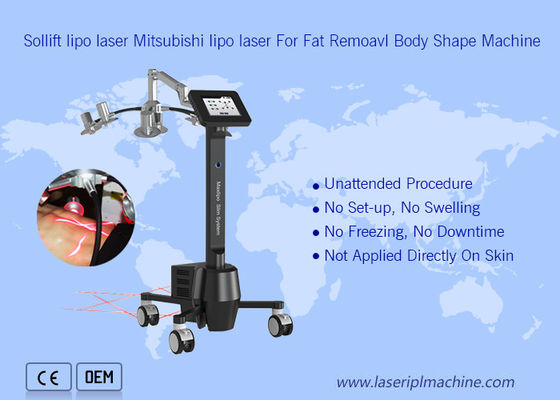 Καλή τιμή 220v φορητή ομορφιά μηχανών 6d Lipolaser Zerona Cryolipolysis σε απευθείας σύνδεση