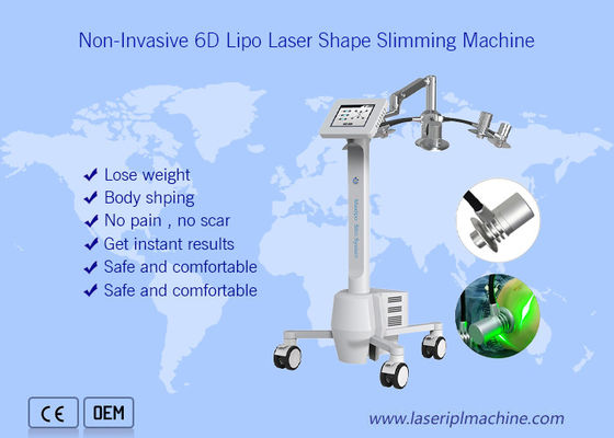 Καλή τιμή Μη της εισβολής ομορφιά απώλειας 6d βάρους συνόλου μηχανών αδυνατίσματος 532nm Cryolipolysis σε απευθείας σύνδεση