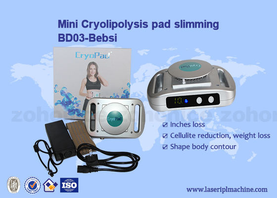 Καλή τιμή Μίνι μηχανή 220v Cryolipolysis εγχώριας χρήσης/αδυνάτισμα 110v σε απευθείας σύνδεση