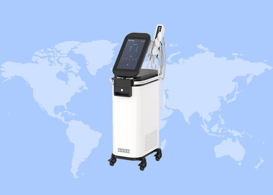 Καλή τιμή RET Face Αντιφλεγμονώδεις σακούλες απομάκρυνσης ρυτίδων μασάζ προσώπου EMS RF μηχανή φροντίδας προσώπου σε απευθείας σύνδεση