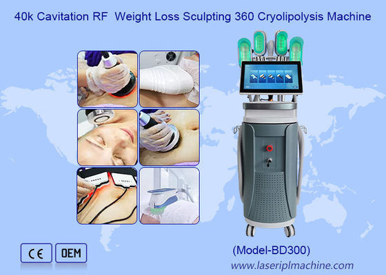 Καλή τιμή 40k Cavitation RFWeight Loss Sculpting 360 Μηχανή Κρυολιπολύσης σε απευθείας σύνδεση