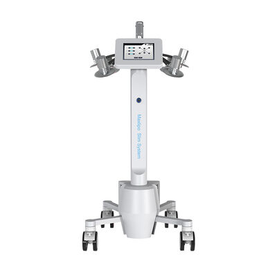 Καλή τιμή 532nm αφαίρεση Cellulite απώλειας βάρους μηχανών λέιζερ Lipo πράσινου φωτός σε απευθείας σύνδεση