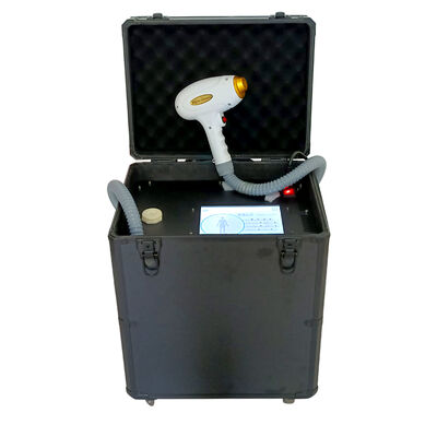 Καλή τιμή Φορητή ανώδυνη μηχανή 755nm 1064nm 808nm αφαίρεσης τρίχας διόδων μόνιμη σε απευθείας σύνδεση