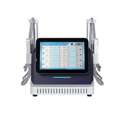 2 σε 1 Cryo Plate και EMS Slimming Machine για κατάψυξη λίπους