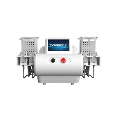 Καλή τιμή 635nm 650nm 940nm 980nm Διοδικός λέιζερ EMS Πλάκα λιποαναρρόφησης σε απευθείας σύνδεση