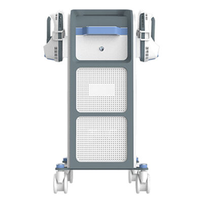 Καλή τιμή Ηλεκτρική συσκευή διέγερσης μυών για σπα και γυμναστική σε απευθείας σύνδεση