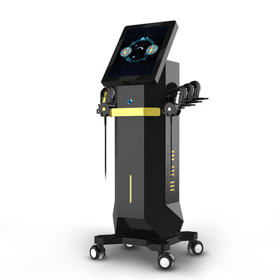 Καλή τιμή Ψηλή μασάζ προσώπου 6 χειριστήρια RET FACE EMS μυϊκό διεγερτή μηχανή σε απευθείας σύνδεση