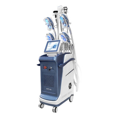 9 σε 1 κενή μηχανή αδυνατίσματος 800VA Cryolipolysis