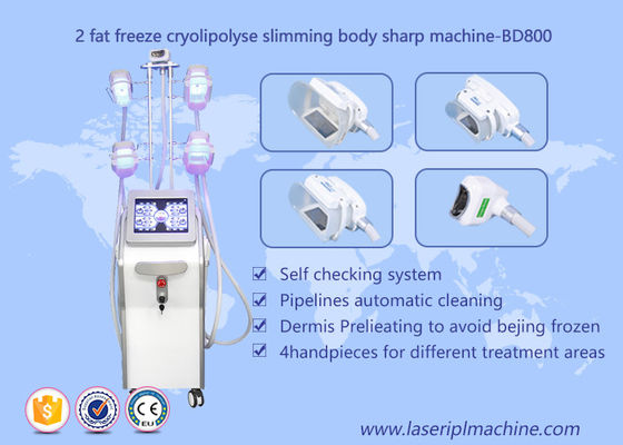 Καλή τιμή Μηχανή αδυνατίσματος Cryolipolysis σώματος μορφής, εξοπλισμός ομορφιάς Lipo Cryo Cryolipolysis σε απευθείας σύνδεση