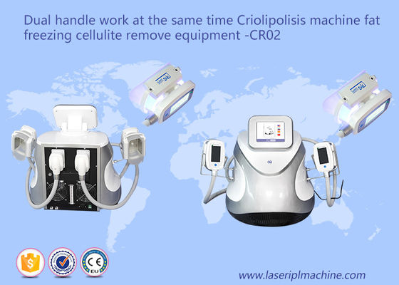 Καλή τιμή Διπλό λίπος λαβών που παγώνει τις μηχανές CR02 110v/220v απώλειας βάρους Cellulite σε απευθείας σύνδεση