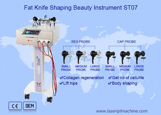 Καλή τιμή Πολλαπλάσιο λειτουργικό φορητό αδυνάτισμα σώματος εξοπλισμού ομορφιάς ΚΑΠ RES RF σε απευθείας σύνδεση